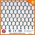 Green PVC Coated hexagonal wire mesh (Manufacturer)